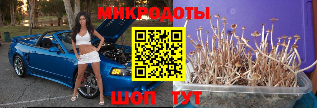 Бахчисарай  Псилоцибиновые грибы мухоморы  что такое наркотик  Псилоцибиновые грибы Cubensis  Вход с VPN 